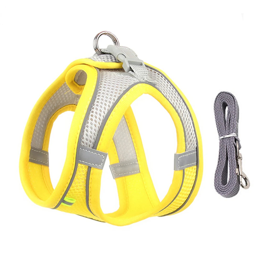 Breathable Mesh Reflective Dog Cat Harness With Matching Leash, Adjustable Vest Harness For Small Puppy Kitten