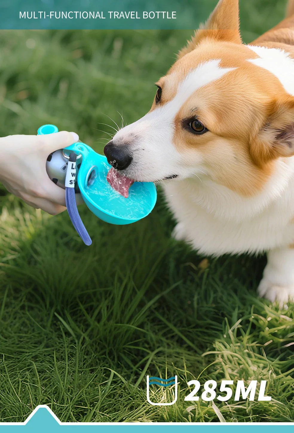 285ML Portable Stainless Steel Dog Water Bottle, Leakproof PETG Travel Drinking Dispenser for Small Puppy Outdoor Walking Hiking