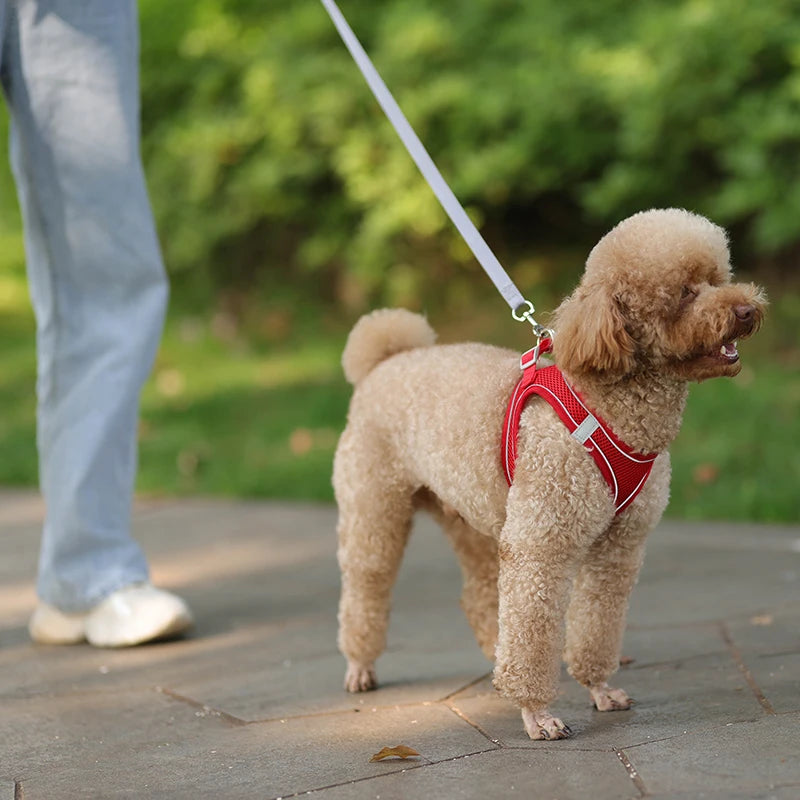 Breathable Mesh Reflective Dog Cat Harness With Matching Leash, Adjustable Vest Harness For Small Puppy Kitten