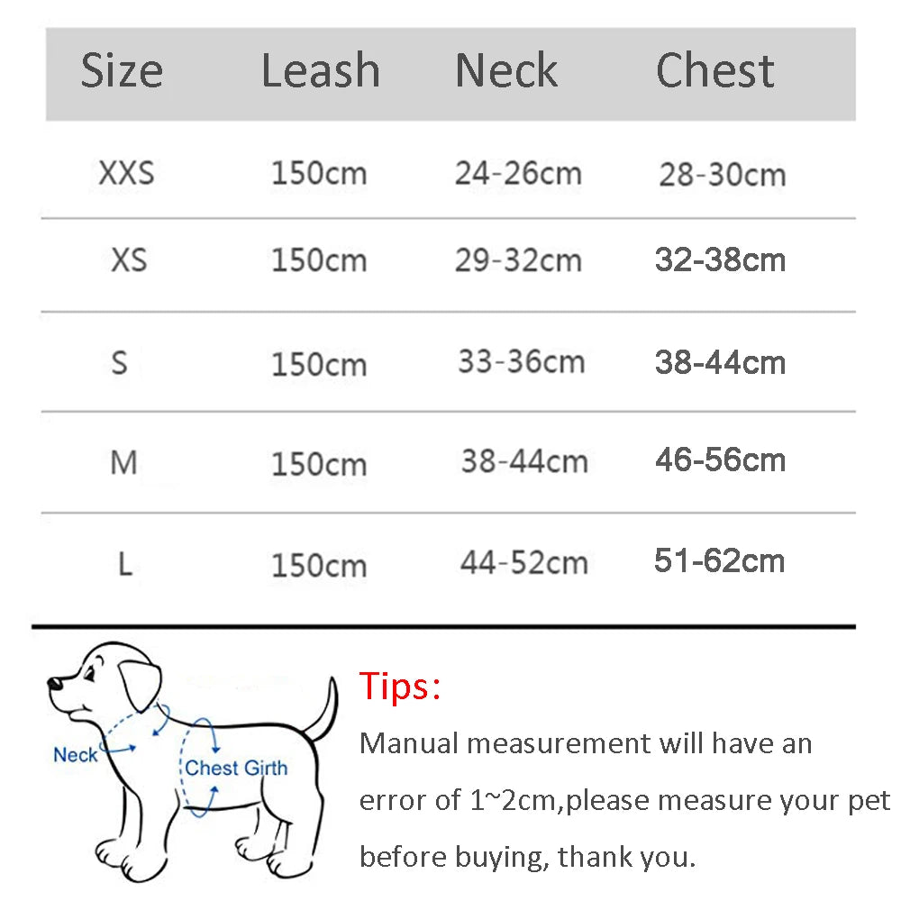 Breathable Mesh Reflective Dog Cat Harness With Matching Leash, Adjustable Vest Harness For Small Puppy Kitten