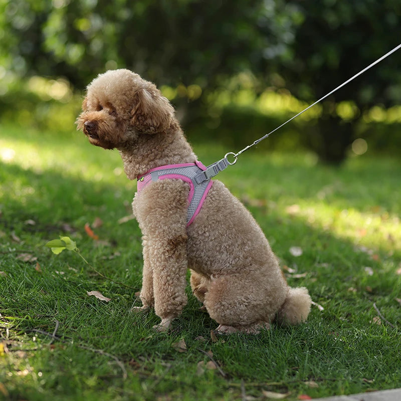 Breathable Mesh Reflective Dog Cat Harness With Matching Leash, Adjustable Vest Harness For Small Puppy Kitten