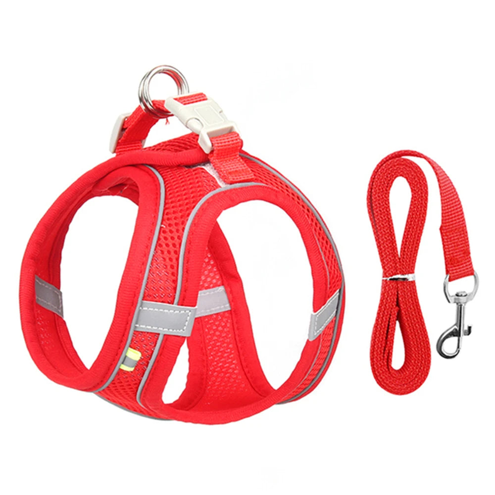Breathable Mesh Reflective Dog Cat Harness With Matching Leash, Adjustable Vest Harness For Small Puppy Kitten