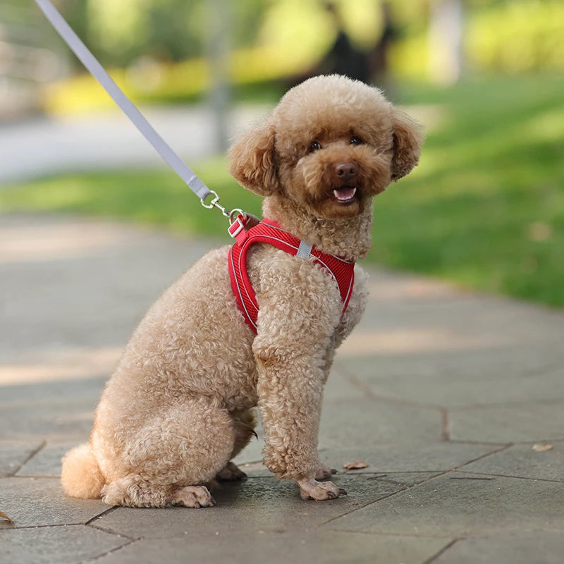 Breathable Mesh Reflective Dog Cat Harness With Matching Leash, Adjustable Vest Harness For Small Puppy Kitten
