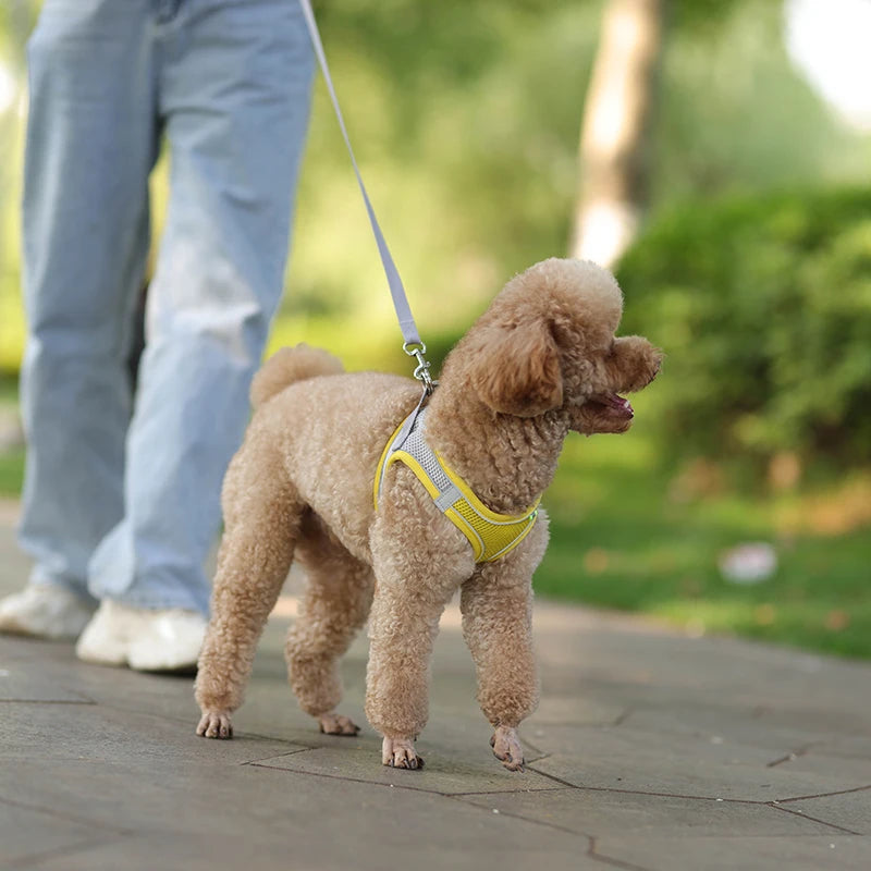 Breathable Mesh Reflective Dog Cat Harness With Matching Leash, Adjustable Vest Harness For Small Puppy Kitten