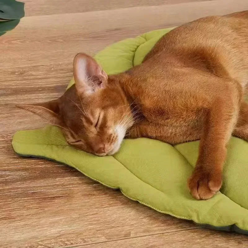 100% Cotton Leaf Shaped Pet Bed Mat, Double-Sided Washable Kennel Cushion for Small Cats & Puppies, Breathable Floor Sleeping Rug for Home Indoor Use