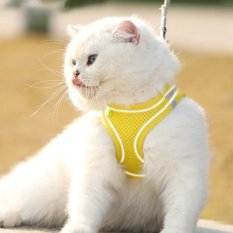 Breathable Mesh Reflective Dog Cat Harness With Matching Leash, Adjustable Vest Harness For Small Puppy Kitten