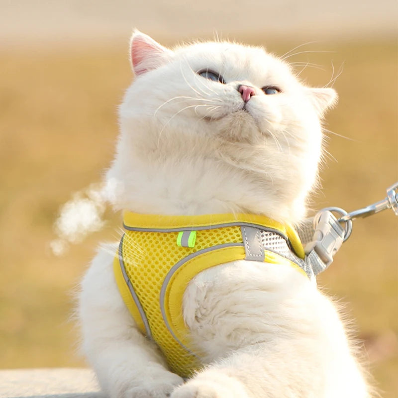 Breathable Mesh Reflective Dog Cat Harness With Matching Leash, Adjustable Vest Harness For Small Puppy Kitten