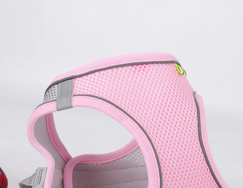 Breathable Mesh Reflective Dog Cat Harness With Matching Leash, Adjustable Vest Harness For Small Puppy Kitten