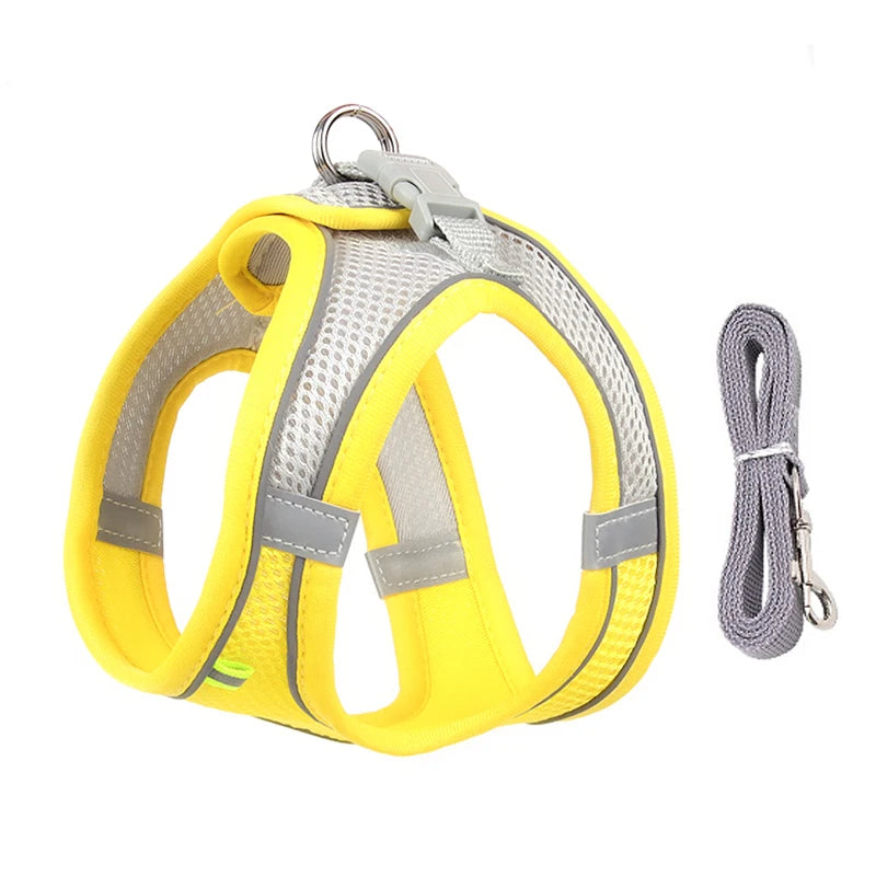 Breathable Mesh Reflective Dog Cat Harness With Matching Leash, Adjustable Vest Harness For Small Puppy Kitten