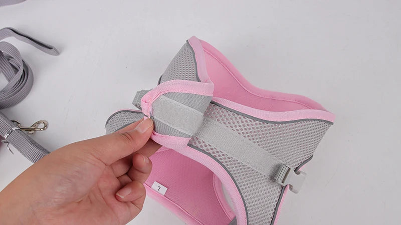 Breathable Mesh Reflective Dog Cat Harness With Matching Leash, Adjustable Vest Harness For Small Puppy Kitten